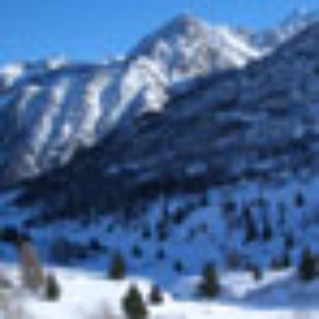 Asabiki Daisendori Specialty Restaurant Hinotori Tengachaya